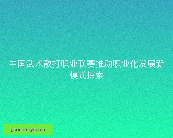 中国武术散打职业联赛推动职业化发展新模式探索 中国武术散打职业联赛推动职业化发展新模式探索